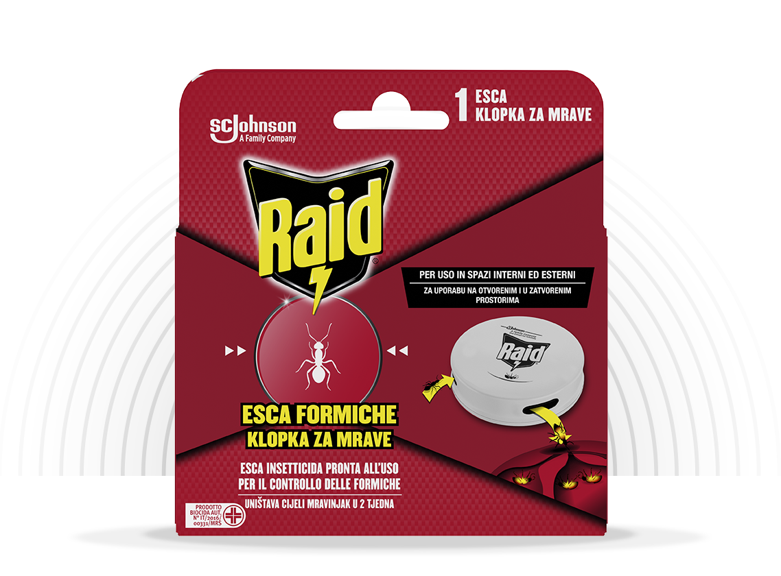 Raid ontsnapt mieren insecticide klaar voor gebruik 1 stuk
