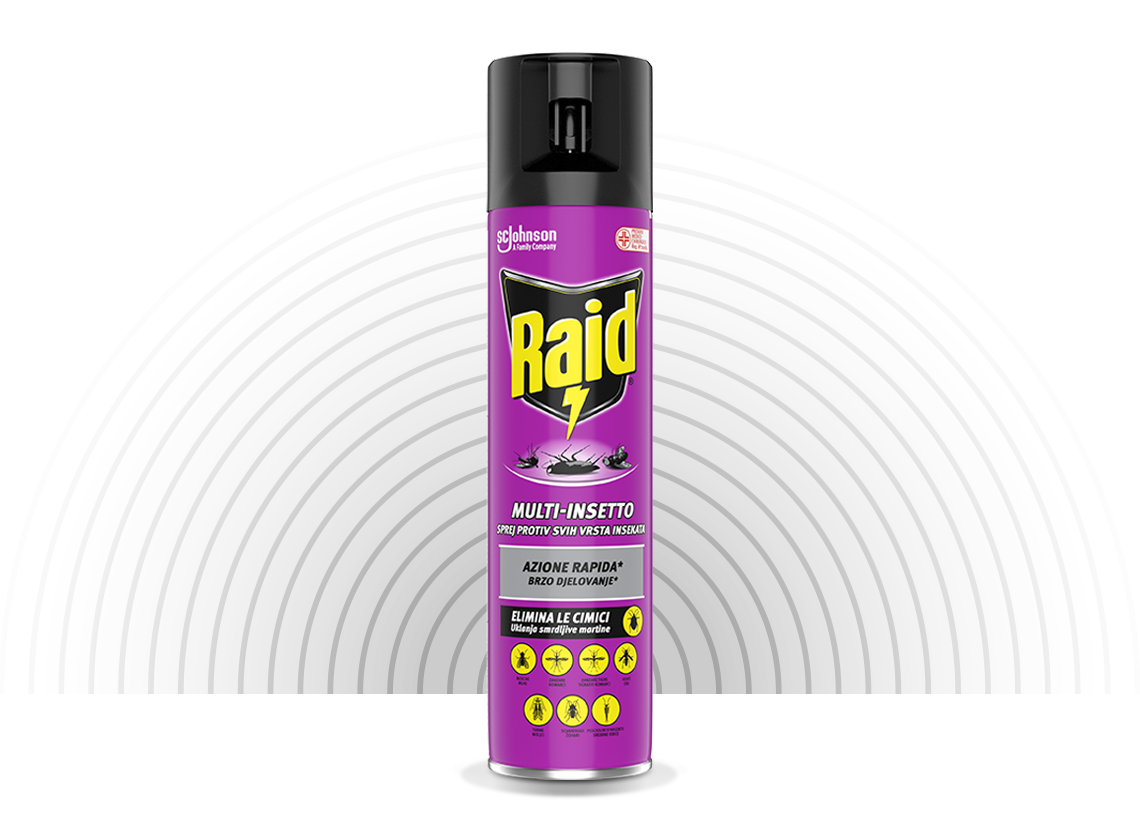 RAID Insecticide Multi Insect Spray 400 ml