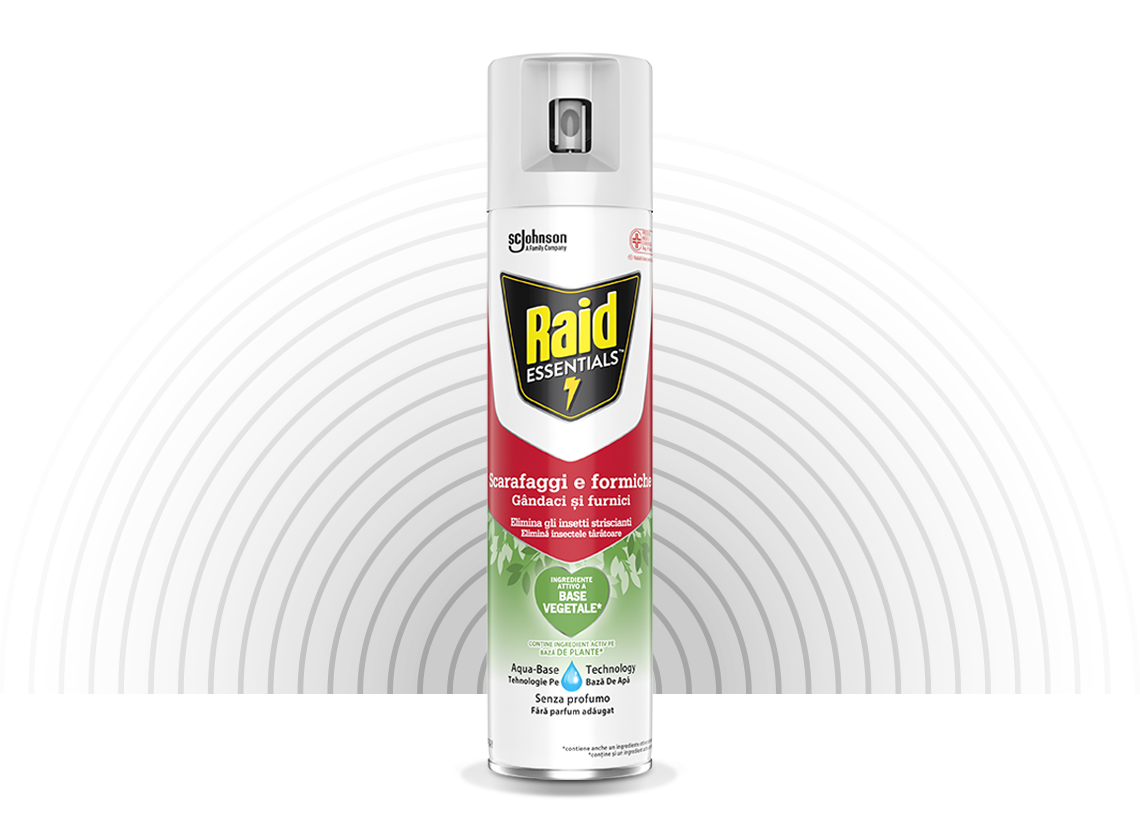 RAID Inseticida Essentials Scarafaggi & Ants Spray 400 ml