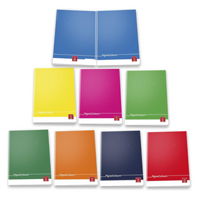 Pigna színek Notebook Maxi - A4 80G 42 Sheets var.