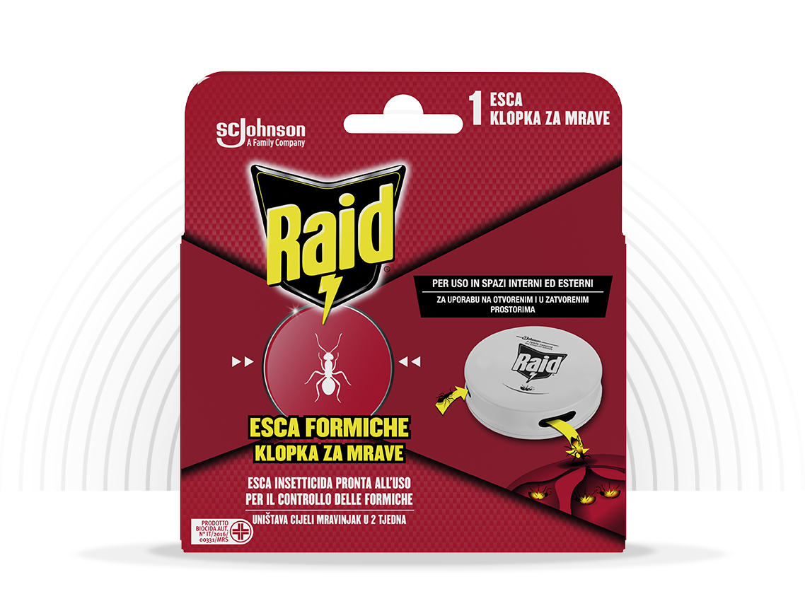 RAID διαφεύγει τα μυρμήγκια εντομοκτόνα έτοιμα για χρήση 1 κομμάτι