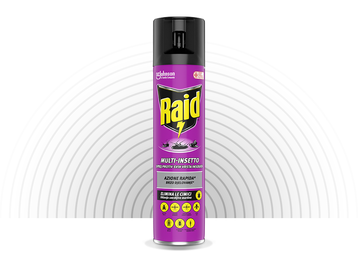 Raid Insecticid Multi Insect Spray 400 ml