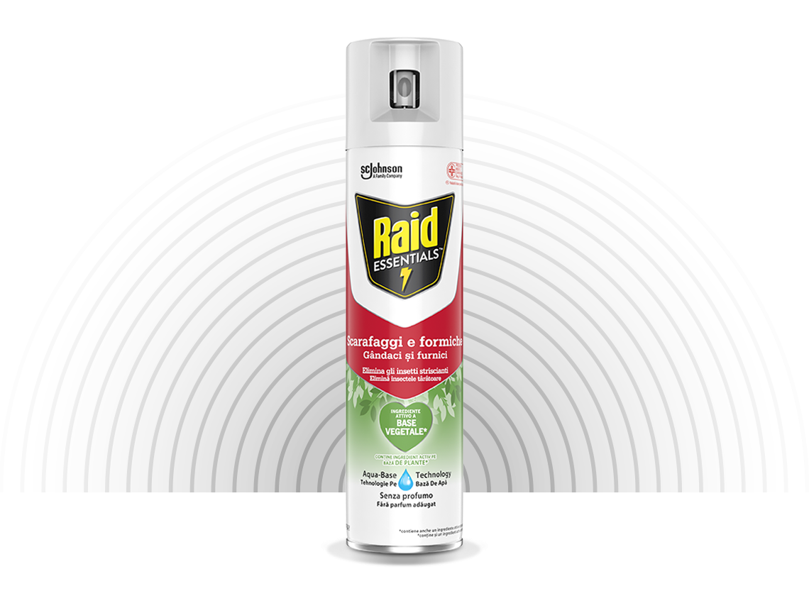 Raid Insetticida Essentials Scarafaggi & Formiche Spray 400 ml