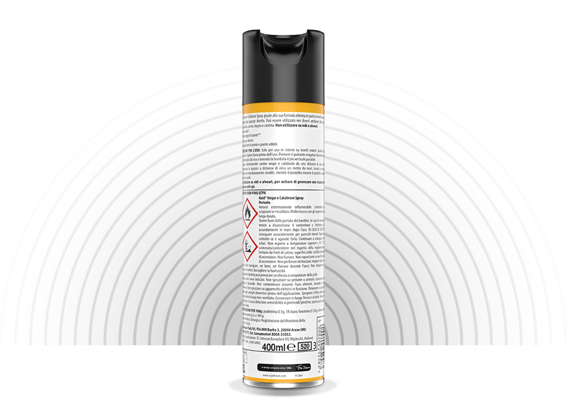 RAID Insectide Vespe i Calabroni Spray 400 ml