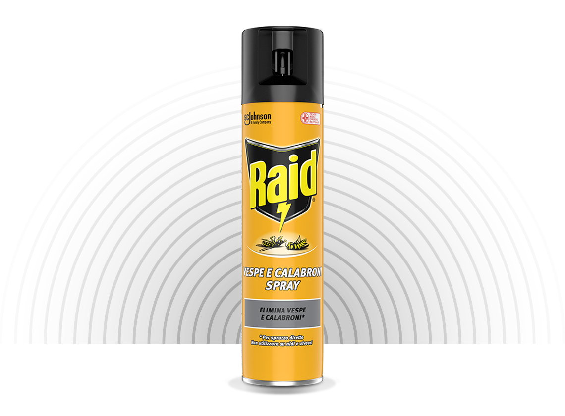 Raid Insekticid Vespe og Calabroni Spray 400 ml