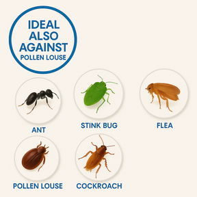 Duracid insecticide powder effective against ants, stink bugs, fleas, cockroaches, and pollen louse