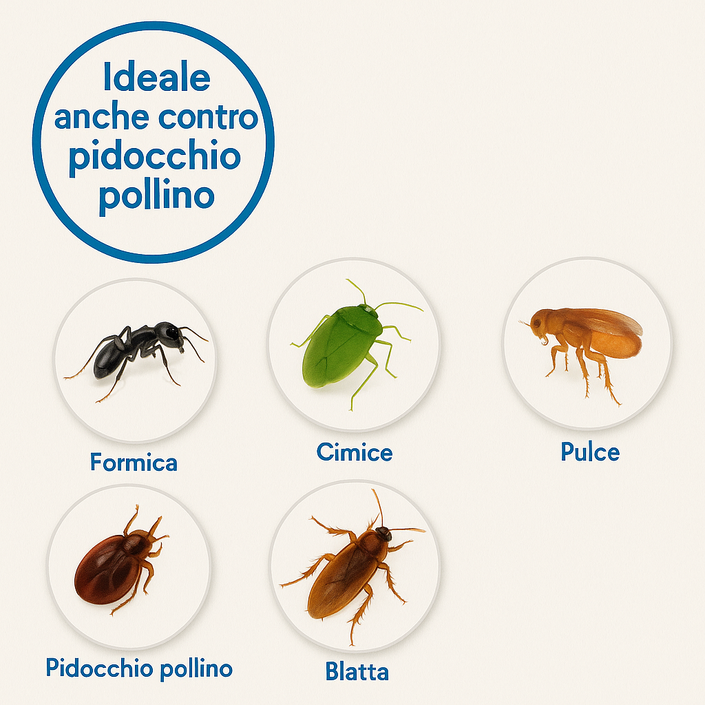 Duracid Vebi: ideale contro formiche, cimici, pulci, blatte e pidocchio pollino