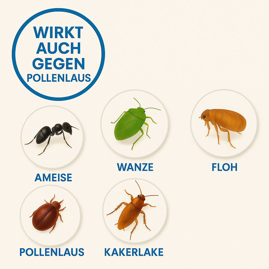 Insektizid Duracid Pulver – wirkt gegen Ameisen, Wanzen, Flöhe, Kakerlaken und Pollenläuse