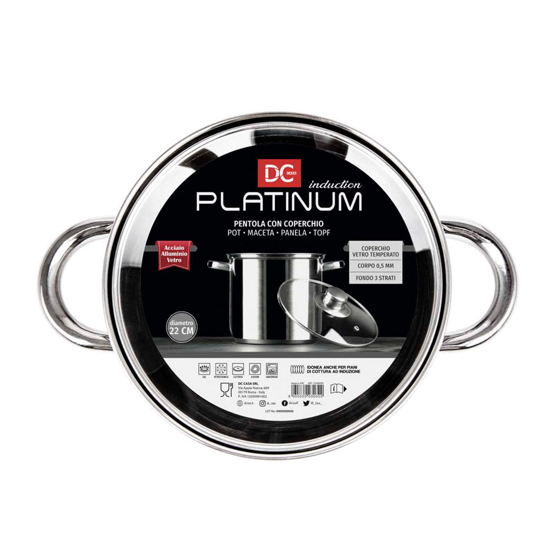 Platinumstålpotte med induktion Fæld med låg - Diameter 22 cm