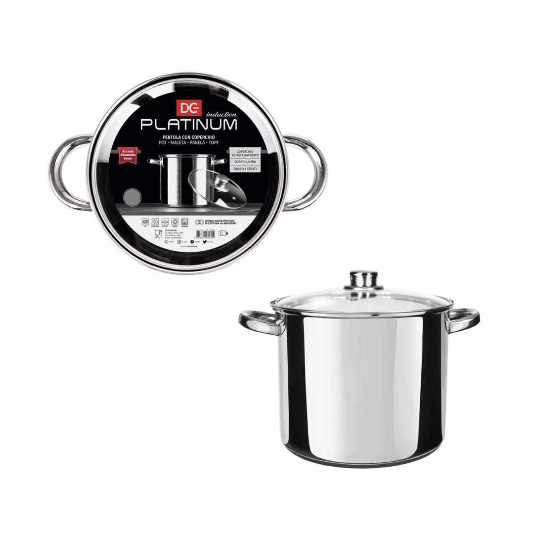 Platinum steel pot with induction bottom with lid - diameter 24cm