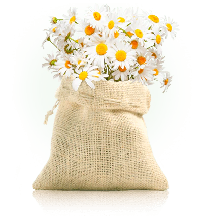 The seasons of Italy infusion chamomile bio calming 15 gr